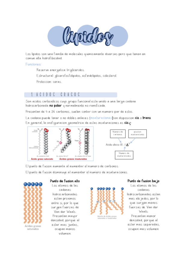 Miniatura del documento Tema-3-lipidos.pdf