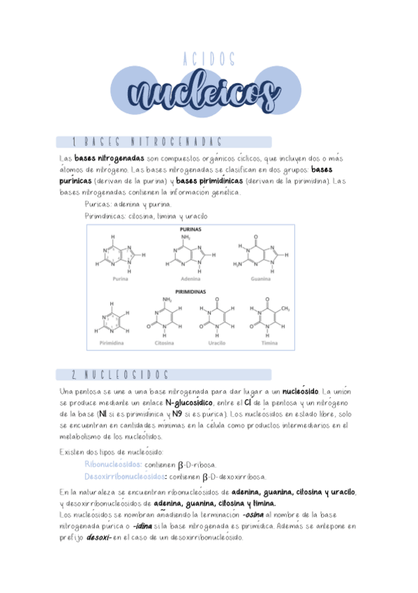 Miniatura del documento Tema-4.-Acidos-nucleicos.pdf