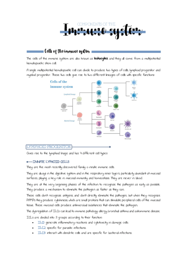 Miniatura del documento Chapter-2.-Components-of-the-immune-system.pdf