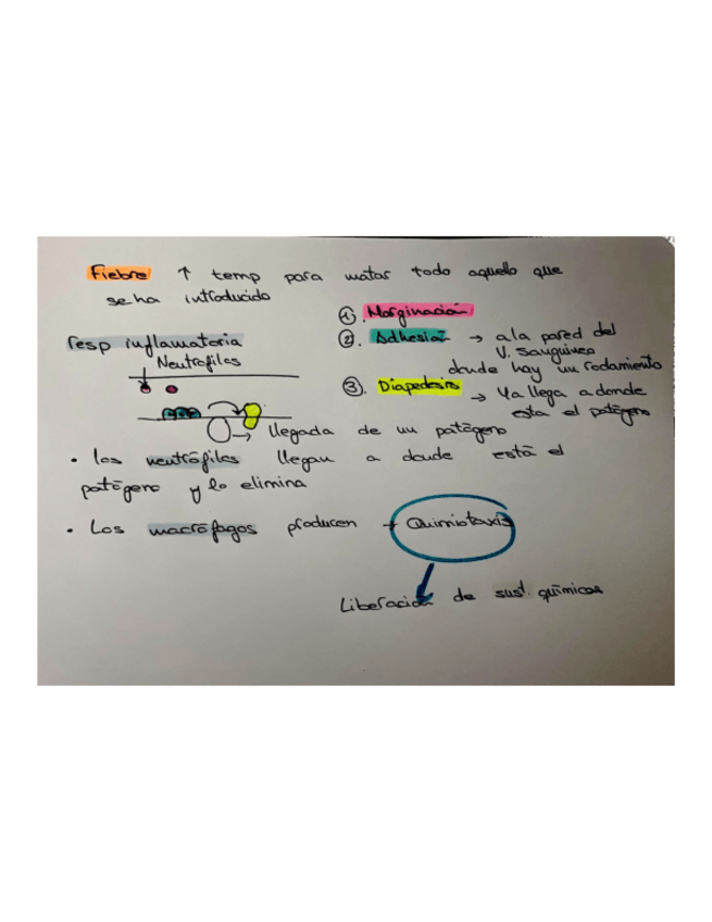 Miniatura del documento respuesta-inflamatoria.pdf