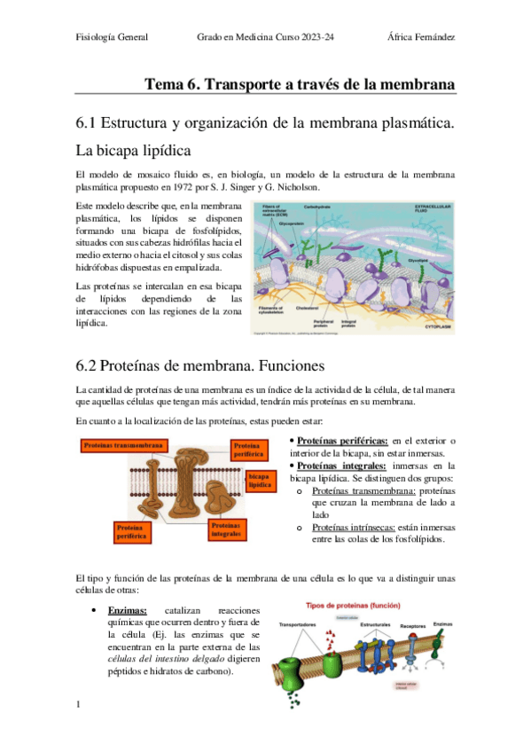 Miniatura del documento Tema-6_La-membrana-plasmatica.pdf