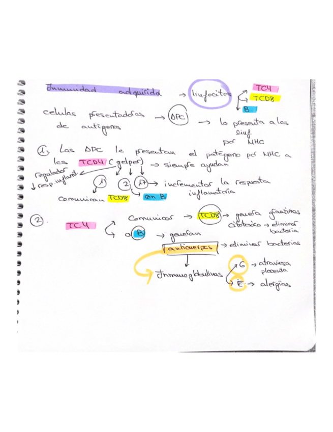 Miniatura del documento inmunidad-adquirida.pdf