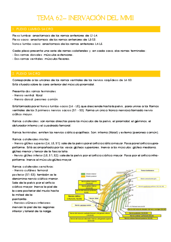 Miniatura del documento TEMA-63-INERVACION-DEL-MMII.pdf