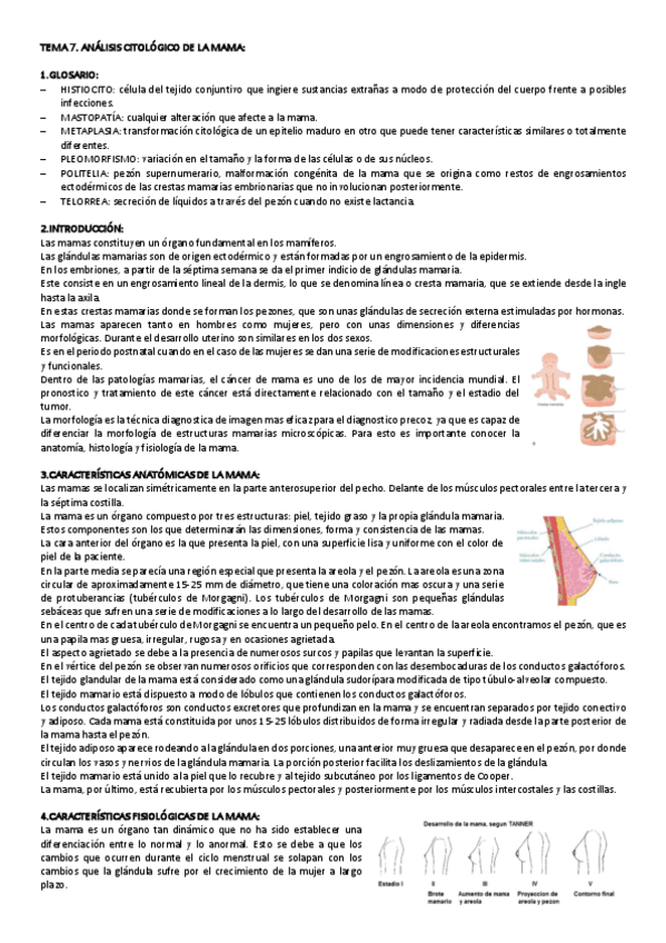 Miniatura del documento TEMA-7-CITO-GINE.pdf