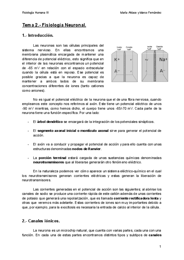 Miniatura del documento 2022-2023-Apuntes-Fisiologia-Humana-III.pdf