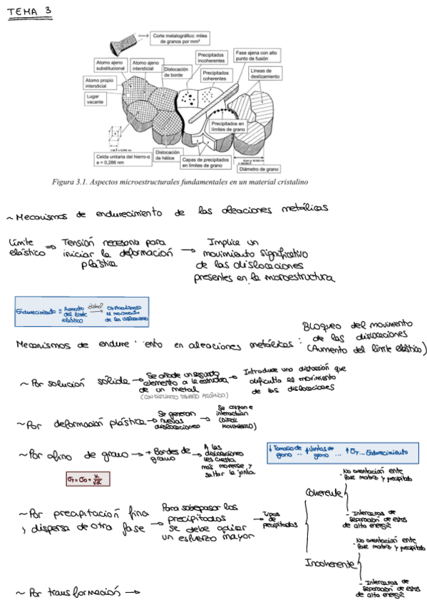 Miniatura del documento Resumen-tema-3.pdf
