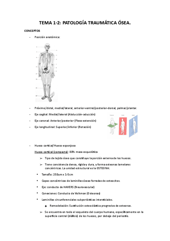 Miniatura del documento Apuntes-AMQ1-bloque1-2.pdf