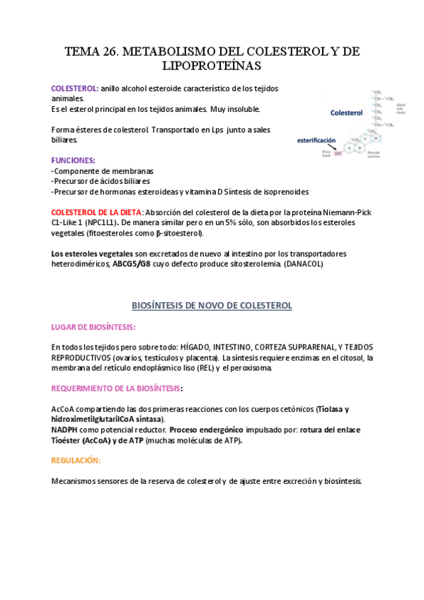 Miniatura del documento TEMA-26.-BIOQUIMICA.pdf