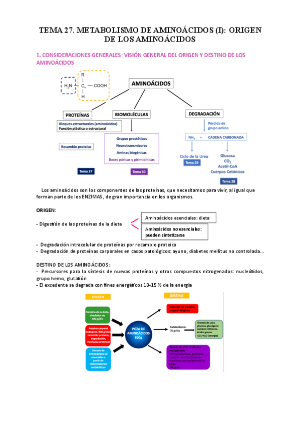 Miniatura del documento TEMA-27.-BIOQUIMICA.pdf