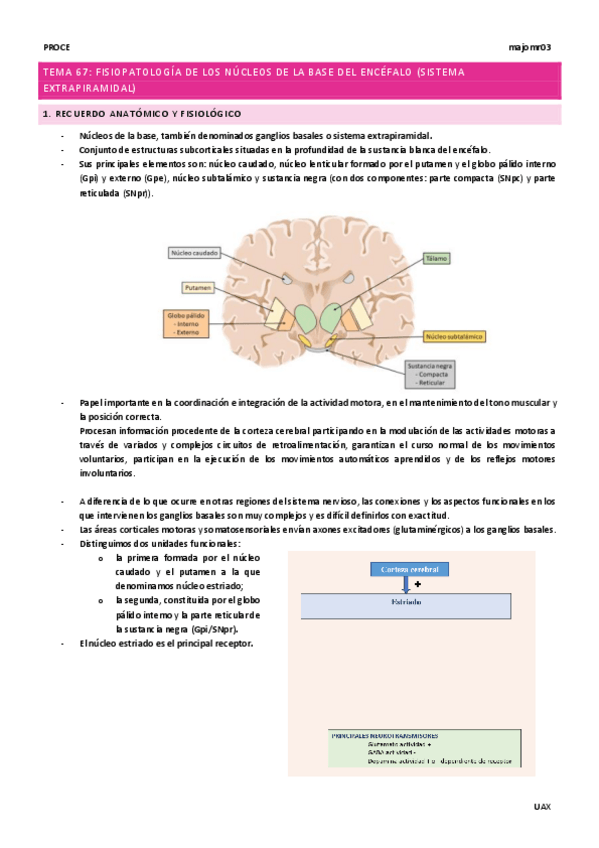 Miniatura del documento Tema-67-Fisiopato-de-los-nucleos-de-la-base-del-encefalo.-Sist-extrapiramidal.pdf