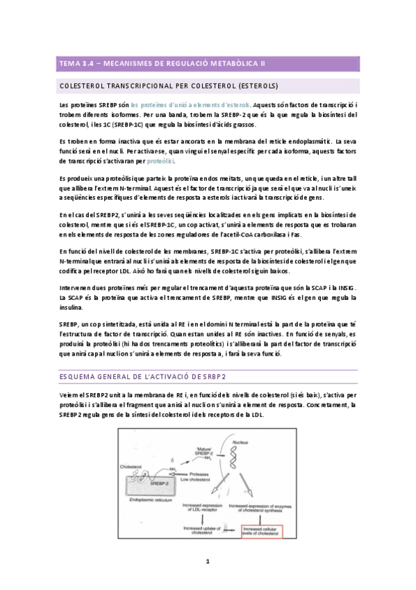 Miniatura del documento TEMA-3.4.docx.pdf
