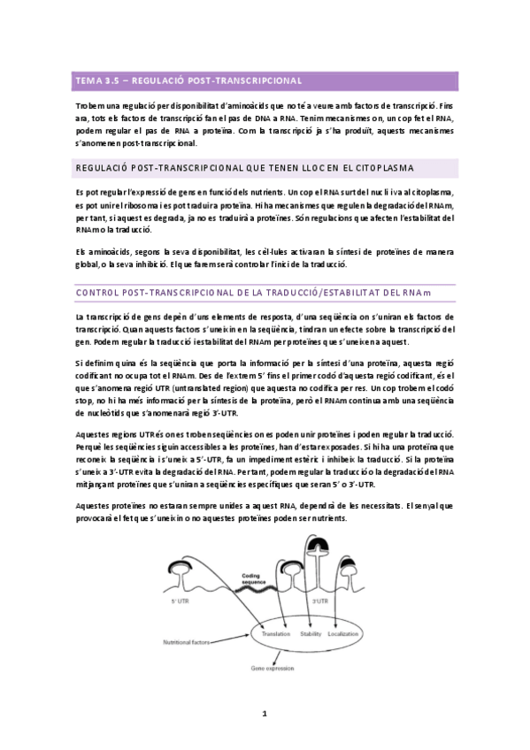 Miniatura del documento TEMA-3.5.docx.pdf