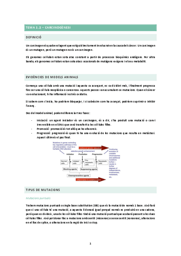 Miniatura del documento TEMA-1.2.docx.pdf