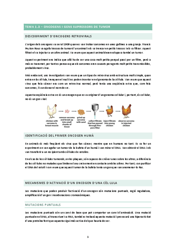 Miniatura del documento TEMA-1.3.docx.pdf