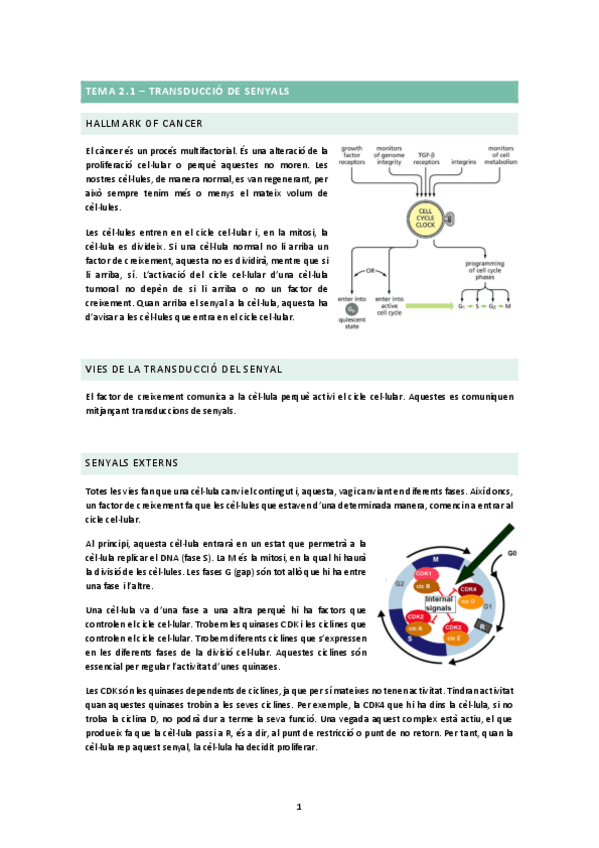 Miniatura del documento TEMA-2.1.docx.pdf