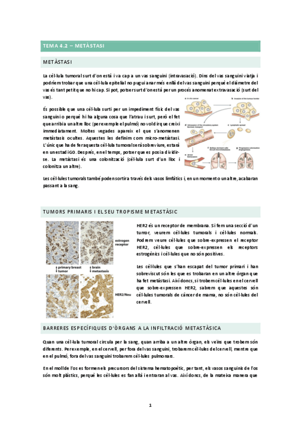 Miniatura del documento TEMA-4.2.docx.pdf