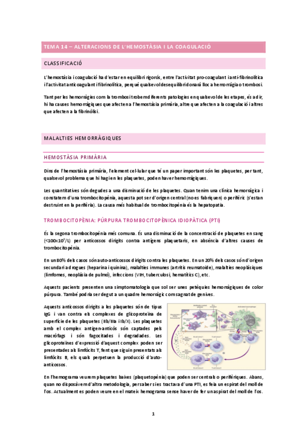 Miniatura del documento TEMA-14.docx.pdf