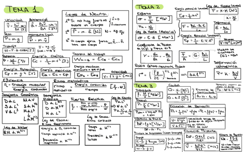 Miniatura del documento Formulario-parcial 1-definitivo.pdf