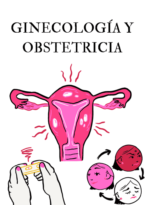 Miniatura del documento PORTADA-GINE-Y-OBSTETRICIA.pdf
