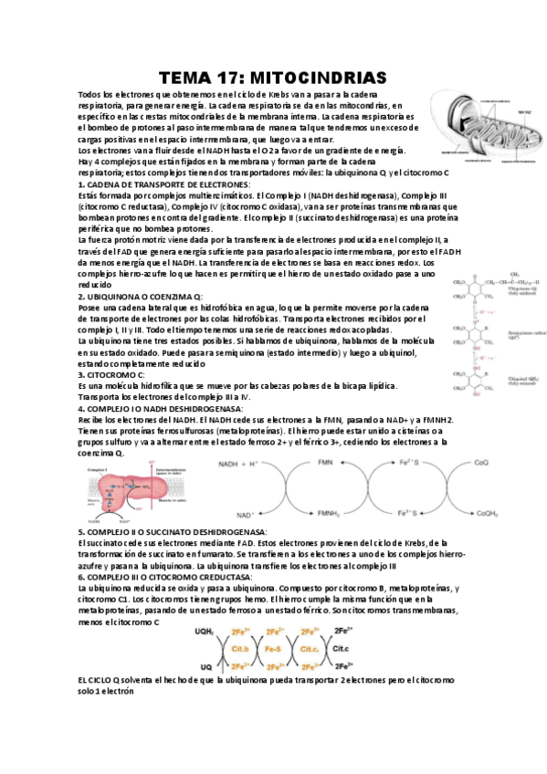 Miniatura del documento TEMA-17.pdf