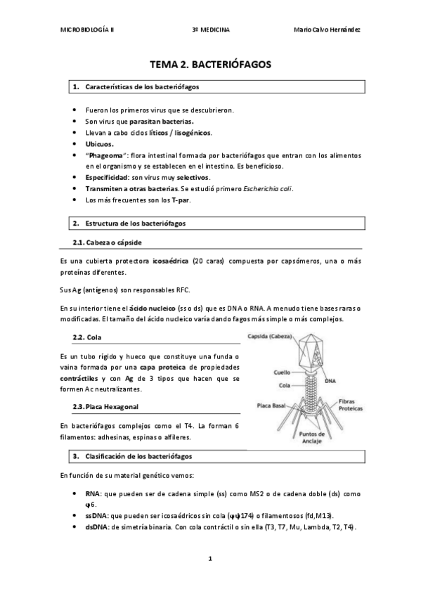 Miniatura del documento TEMA-2-BACTERIOFAGOS.pdf