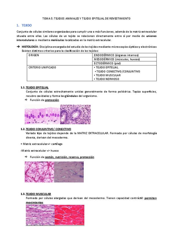 Miniatura del documento EyF I-5.-Tejidos-animales-y-tejido-epitelial-de-revestimiento.pdf