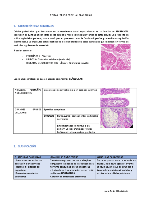 Miniatura del documento EyF-I-6.-Tejido-epitelial-glandular.pdf