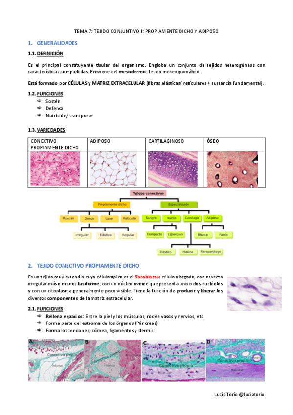 Miniatura del documento EyF-I-7.-Tejido-conjuntivo-I.pdf
