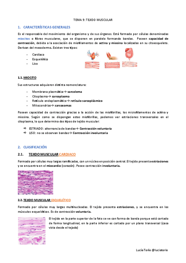 Miniatura del documento EyF-I-9.-Tejido-muscular.pdf