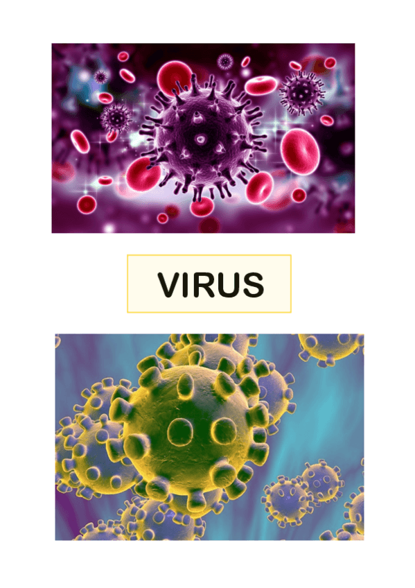 Miniatura del documento Tema-4.pdf