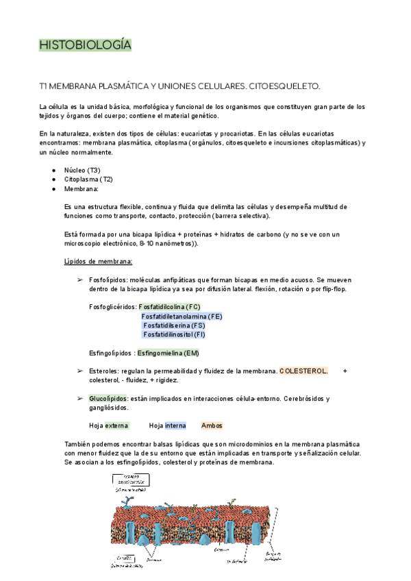 Miniatura del documento T1-3.-Citologia..pdf