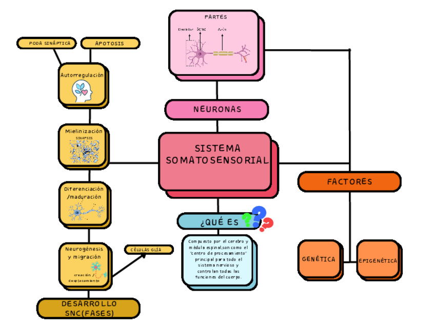 Miniatura del documento tactil-1.pdf