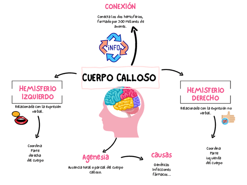 Miniatura del documento tactil-2.pdf