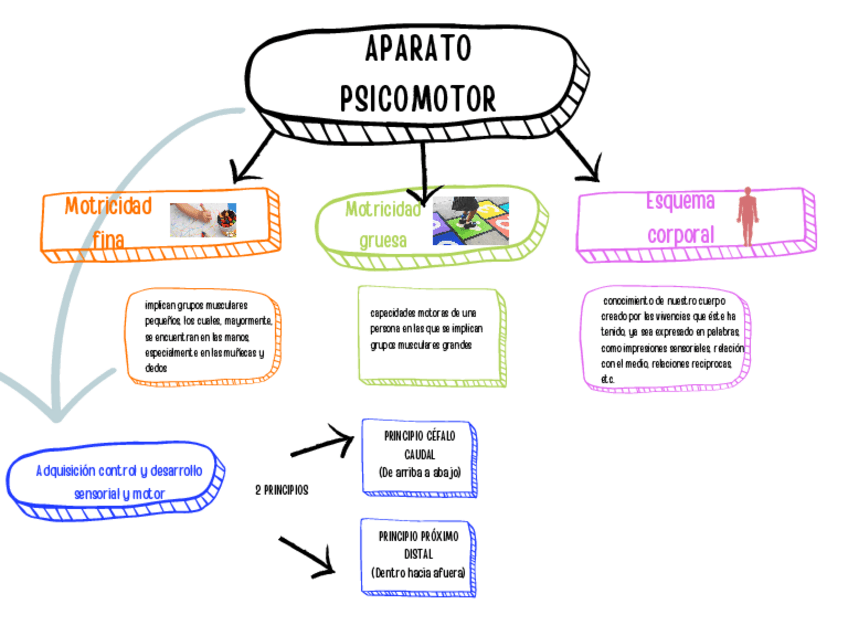 Miniatura del documento tactil-esquema.pdf