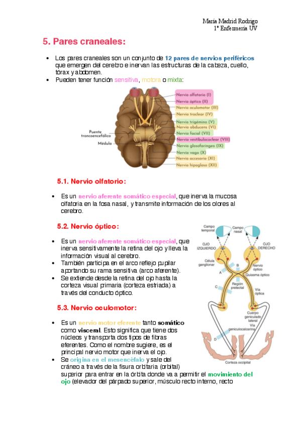 Miniatura del documento pares-craneales.pdf