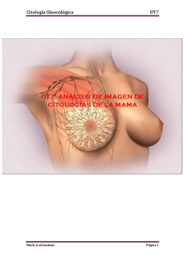 Miniatura del documento UT7.Analisis-de-imagen-de-citologia-de-la-mama2.pdf
