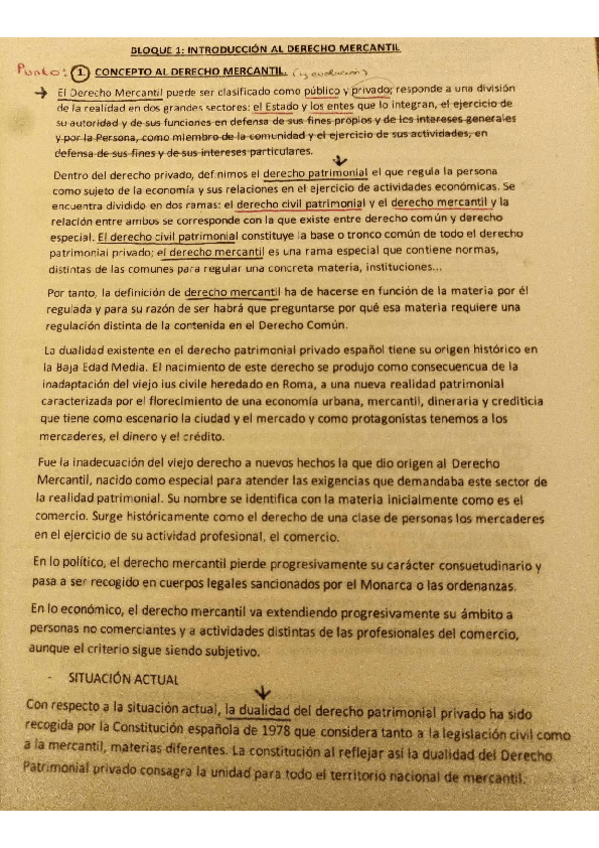 Miniatura del documento Apuntes-Bloque-I-sacados-del-libro-y-diapositivas.pdf