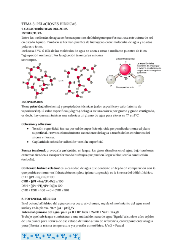 Miniatura del documento TEMA-3-RELACIONES-HIDRICAS.pdf