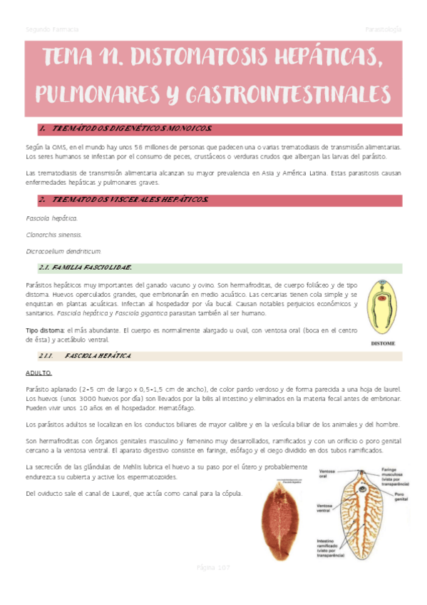 Miniatura del documento Tema-11.-Distomatosis-hepaticas-pulmonares-y-gastrointestinales.pdf