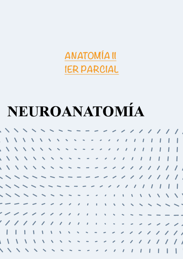 Miniatura del documento NEUROANATOMIA-1o-PARCIAL.pdf