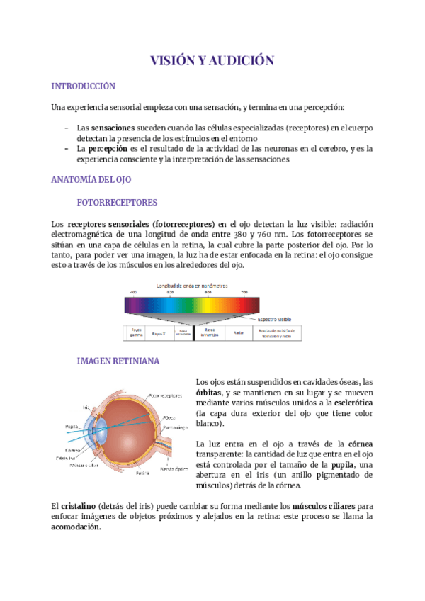 Miniatura del documento Tema-3-fisiologia.pdf