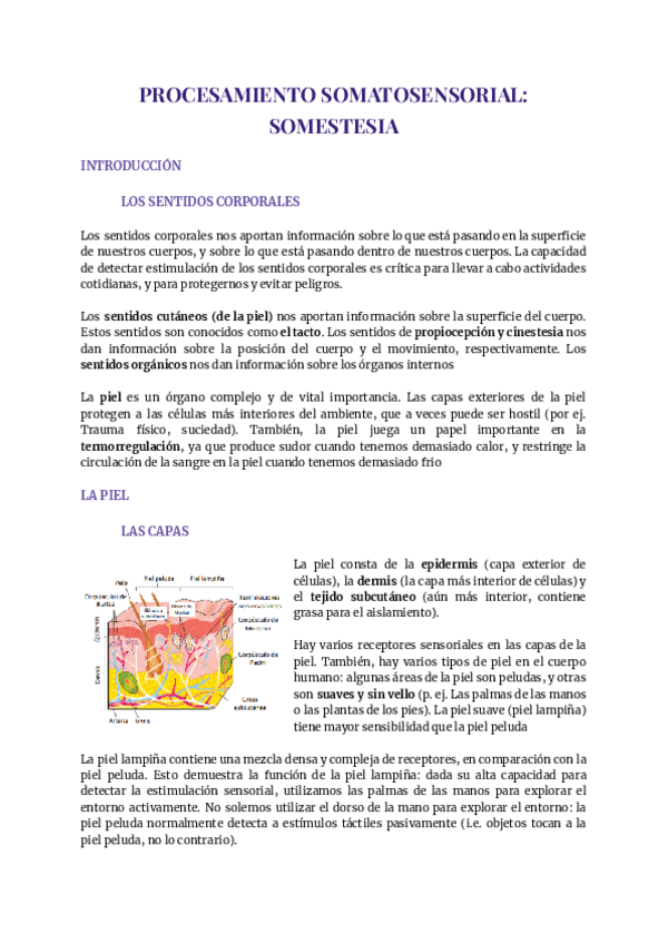Miniatura del documento Tema-2-fisiologia.pdf