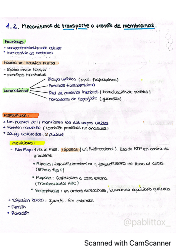 Miniatura del documento Tema-1-y-2.-Mecanismos-de-transporte-a-traves-de-membranas.pdf