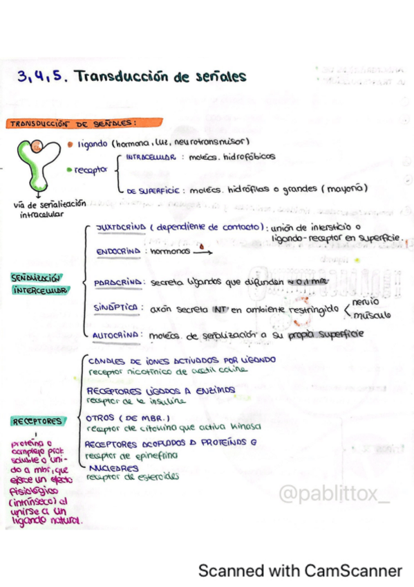 Miniatura del documento Tema-3-4-y-5.-Transduccion-de-senales.pdf