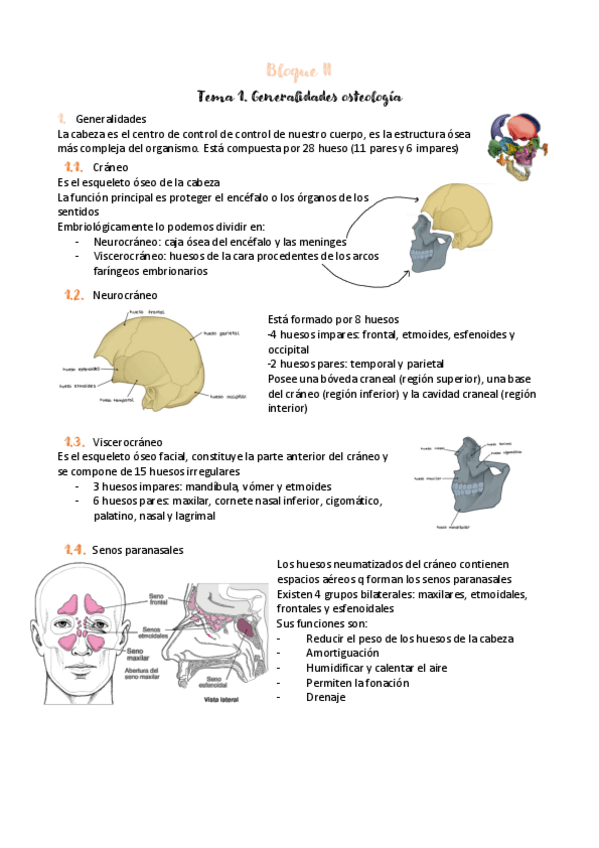 Miniatura del documento BLOQUE-II-tema-1.-generalidades-osteolgia.pdf