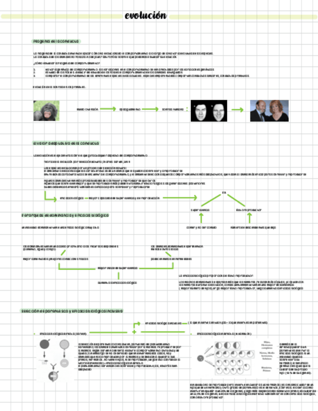 Miniatura del documento etologia-Tema-3.pdf