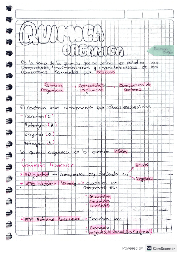 Miniatura del documento QUIMICA-ORGANICA.pdf