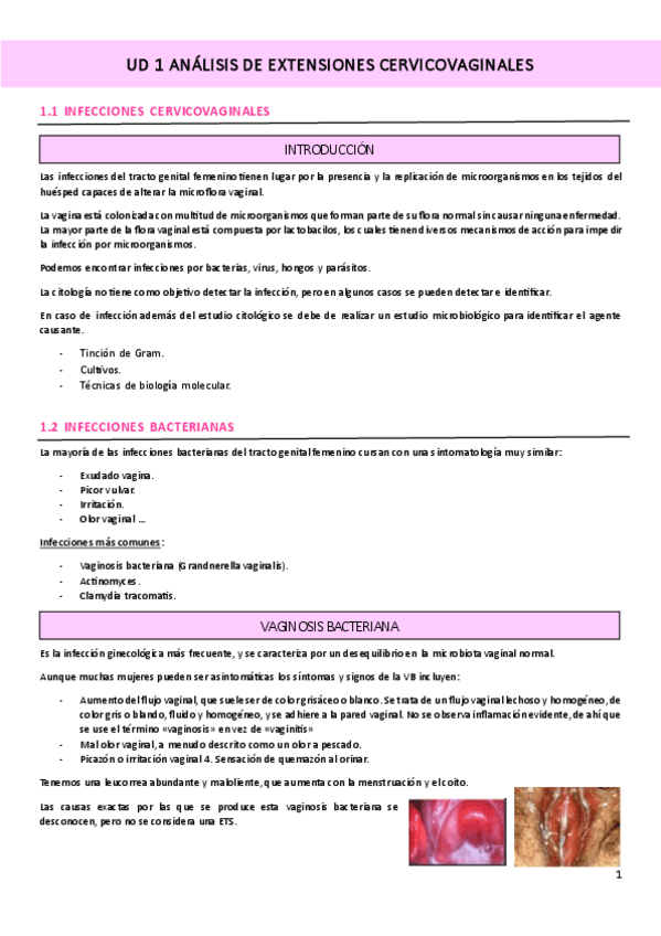 Miniatura del documento UD-1-UF2-ANALISIS-DE-EXTENSIONES-CERVICOVAGINALES.pdf