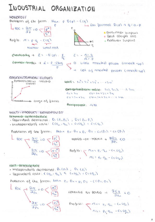 Miniatura del documento RESUM-TOT-IO.pdf
