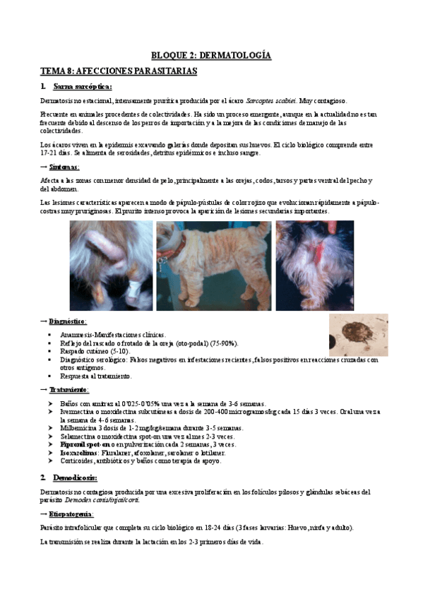 Miniatura del documento Bloque-dermatologia-completo.pdf